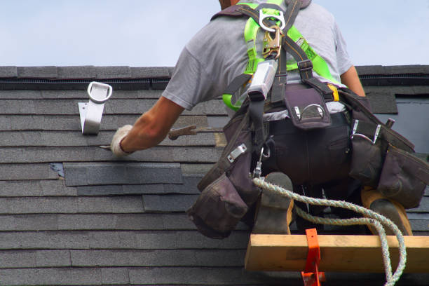 Best Residential Roofing Contractor  in Lexington, MI