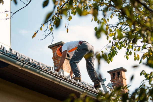 Best New Roof Installation  in Lexington, MI