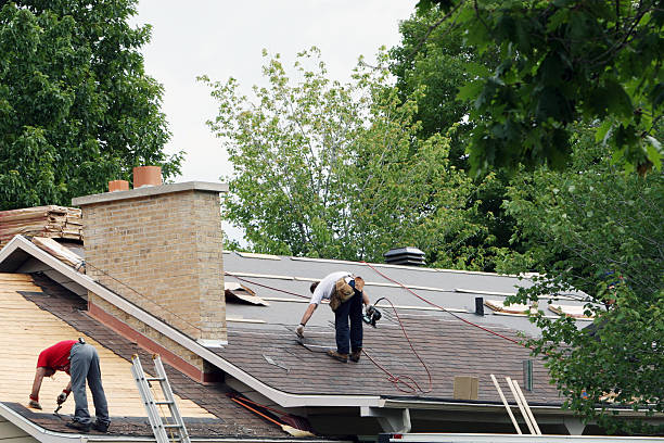 Best Tile Roofing Contractor  in Lexington, MI